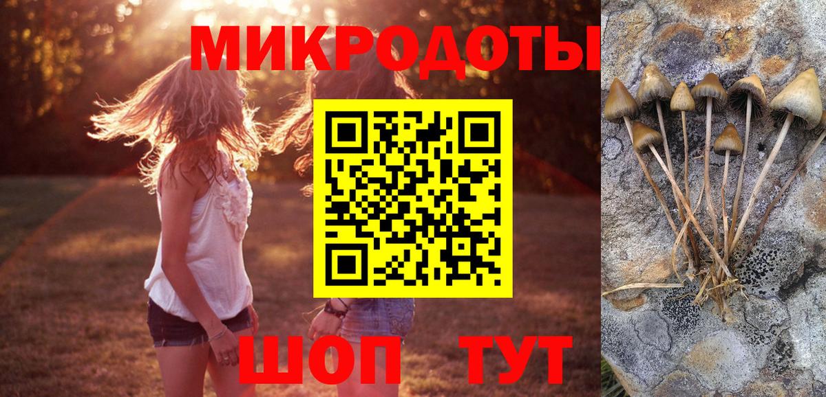Сланцы  Галлюциногенные грибы ЛСД  Вход с VPN 